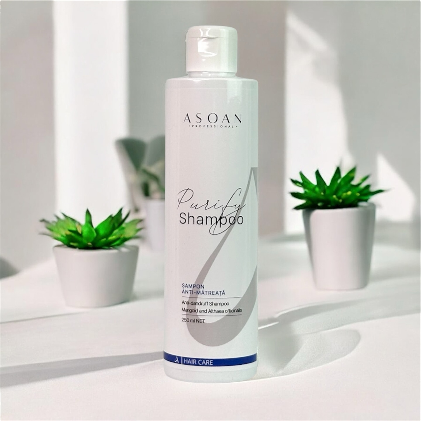 anti matreata asoan professional